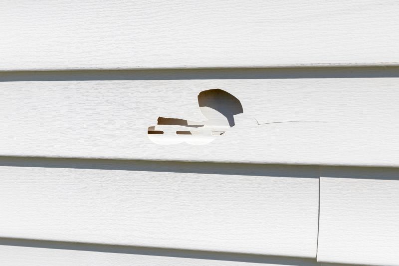 Siding and Exterior Repairs
